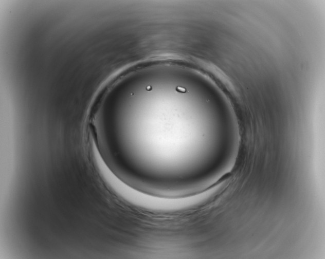 X0000096681364200802121203