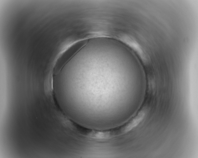 X0000096681365200802121203