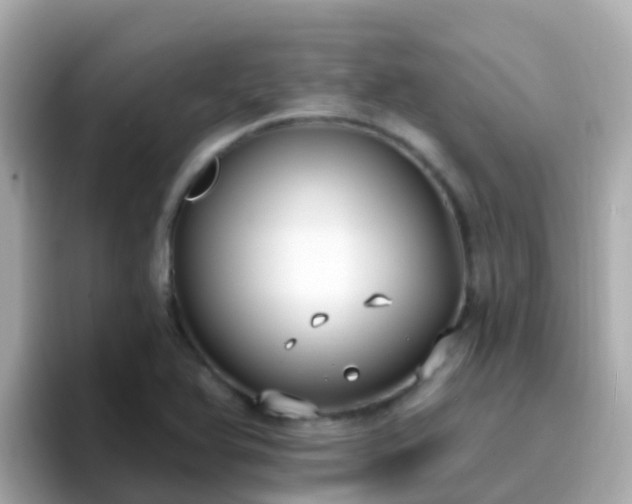 X0000096681366200802121203