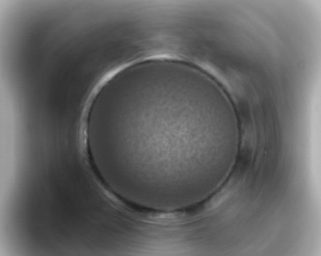 X0000096681367200802121203