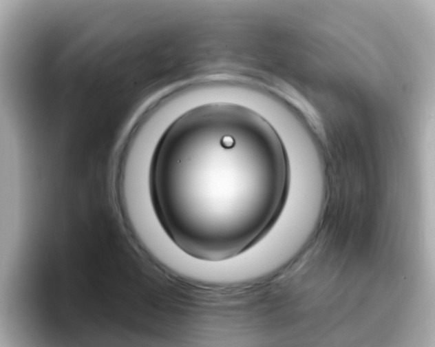 X0000096681368200802121203