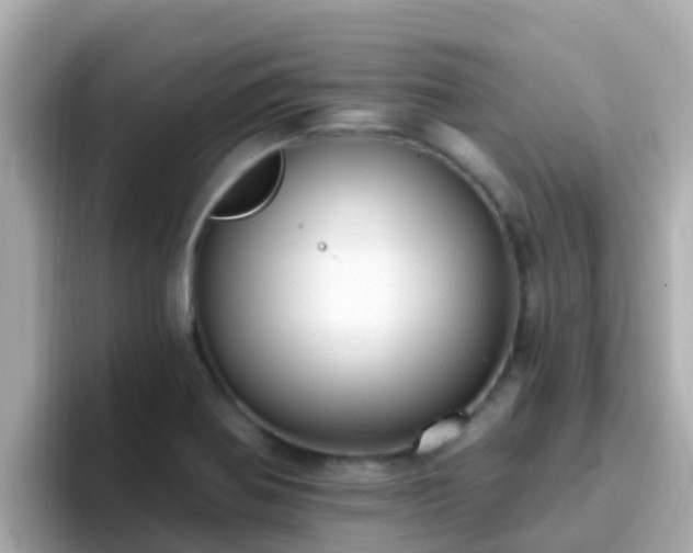 X0000096681370200802121203