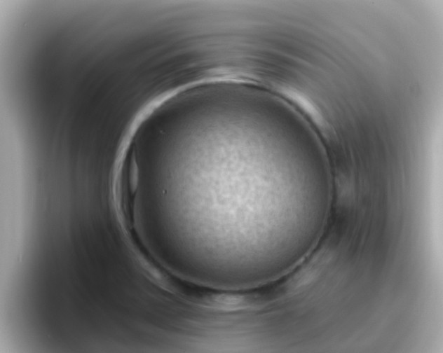 X0000096681371200802121203