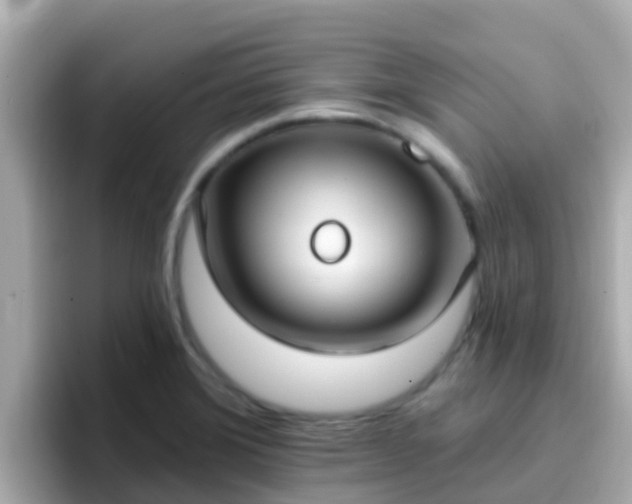 X0000096681372200802121203
