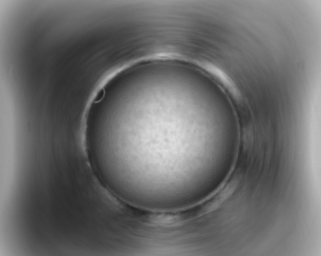 X0000096681374200802121203