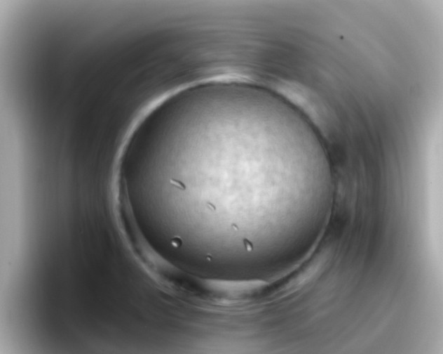 X0000096681375200802121203