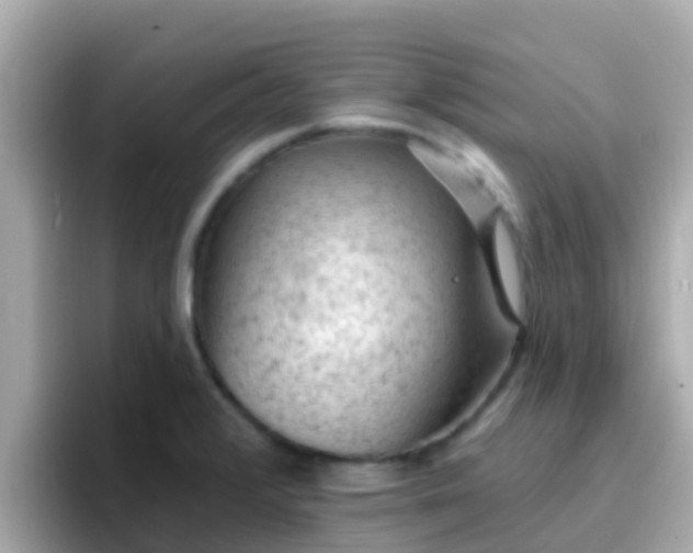 X0000096681376200802121203