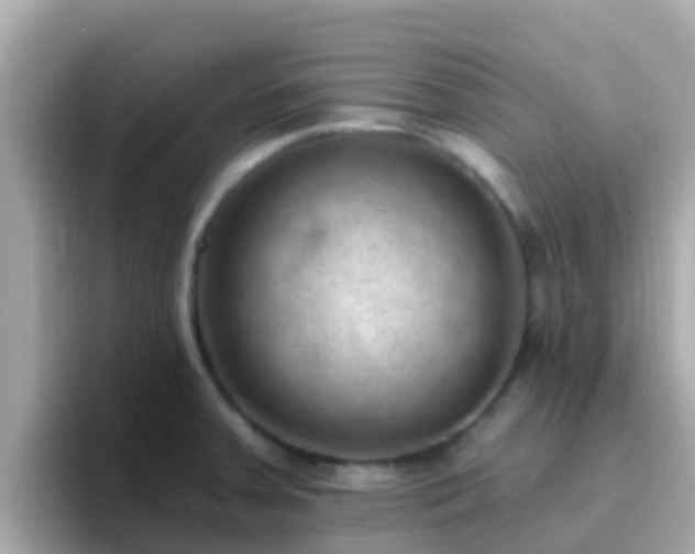 X0000096681379200802121203