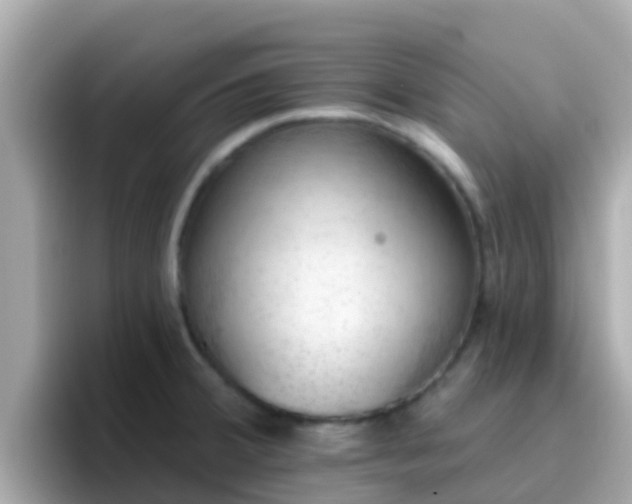 X0000096681380200802121203