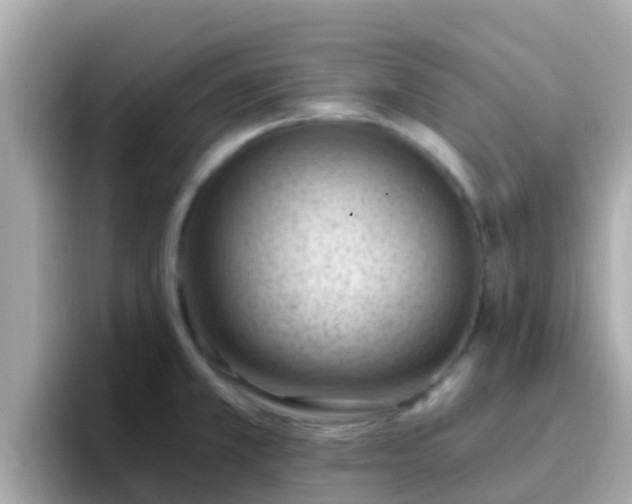 X0000096681381200802121203