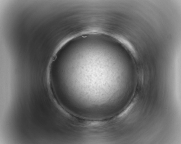 X0000096681382200802121203