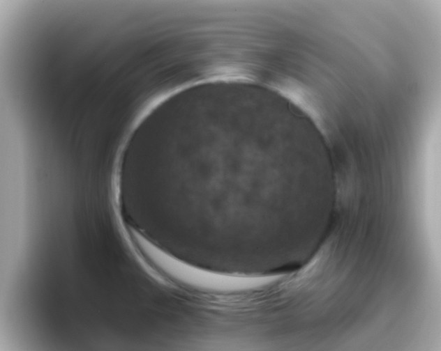 X0000096681383200802121203