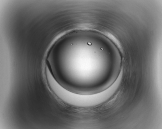 X0000096681384200802121203