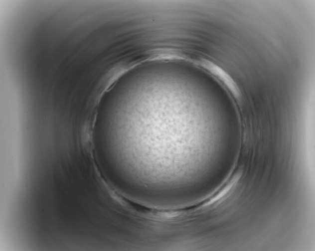 X0000096681385200802121203
