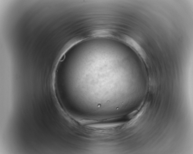X0000096681386200802121203