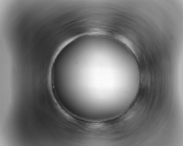 X0000096681387200802121203