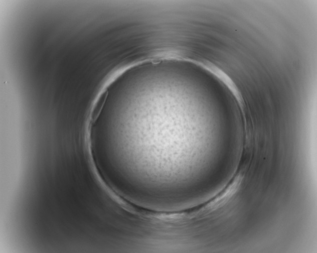 X0000096681389200802121203