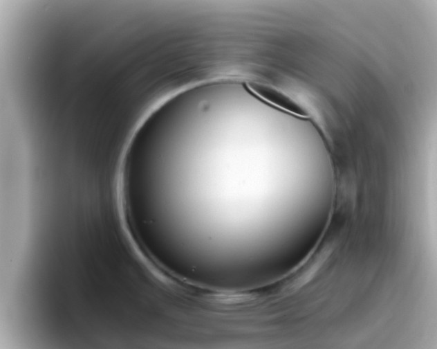 X0000096681391200802121203