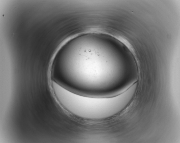 X0000096681392200802121202