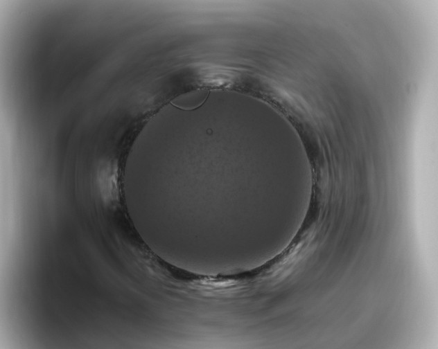X0000096681394200802121202
