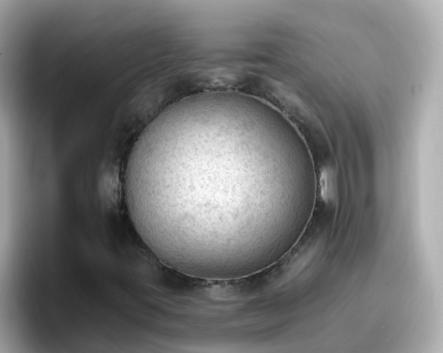 X0000096681395200802121202