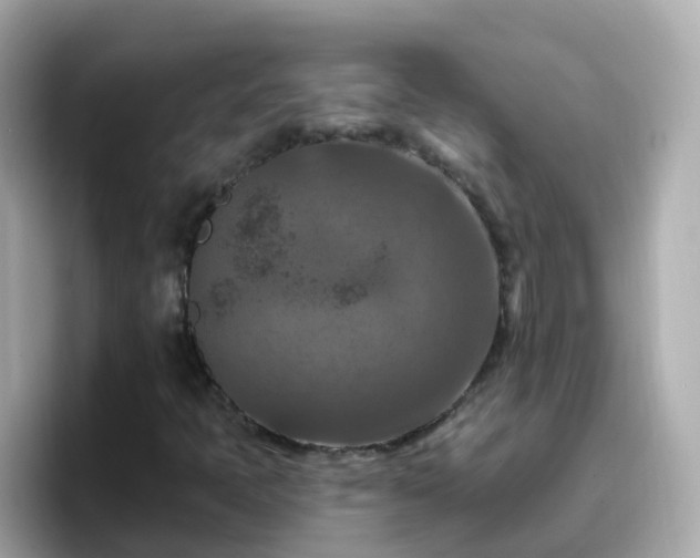 X0000096681397200802121202