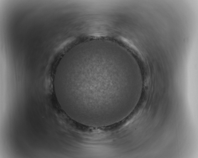 X0000096681398200802121202