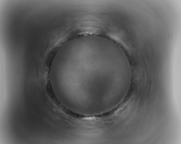 X0000096681399200802121202