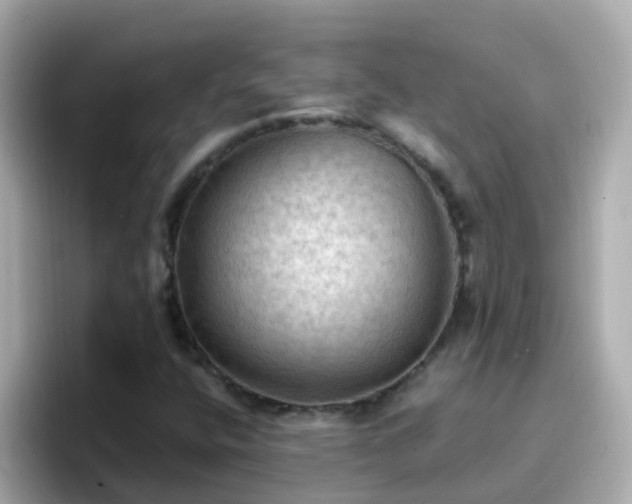 X0000096681400200802121202