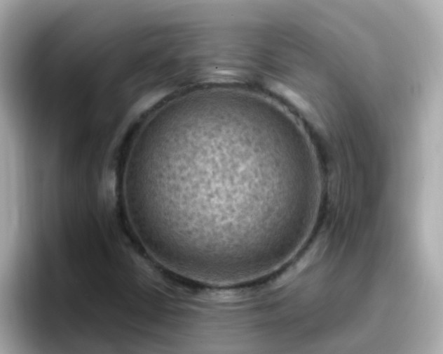 X0000096681402200802121202