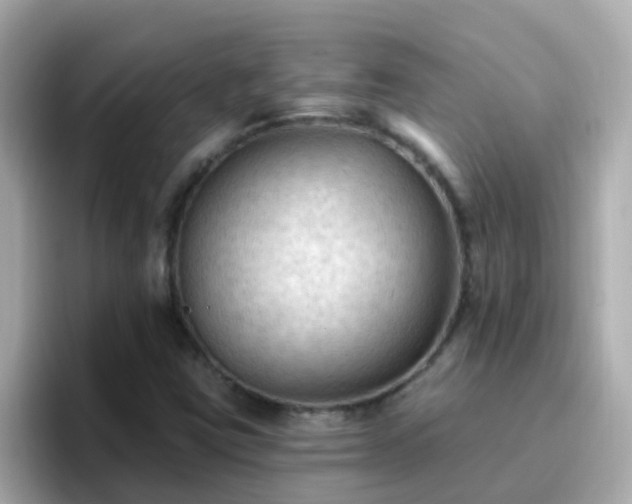 X0000096681403200802121202
