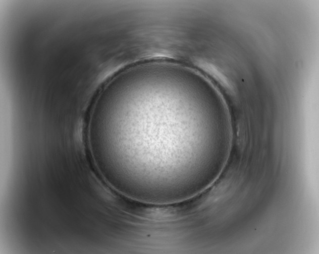 X0000096681404200802121202