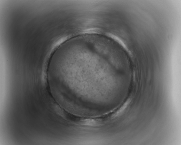 X0000096681405200802121202