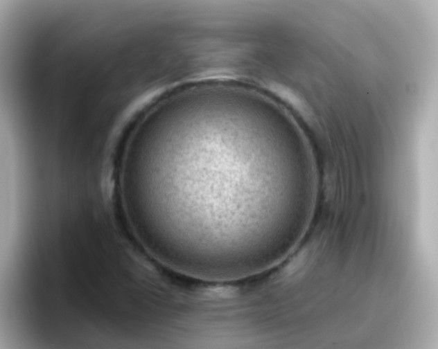X0000096681406200802121202