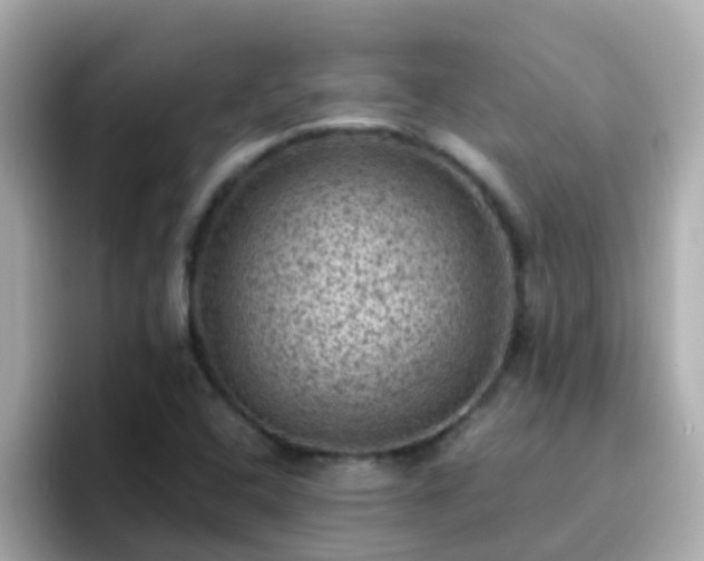 X0000096681408200802121202