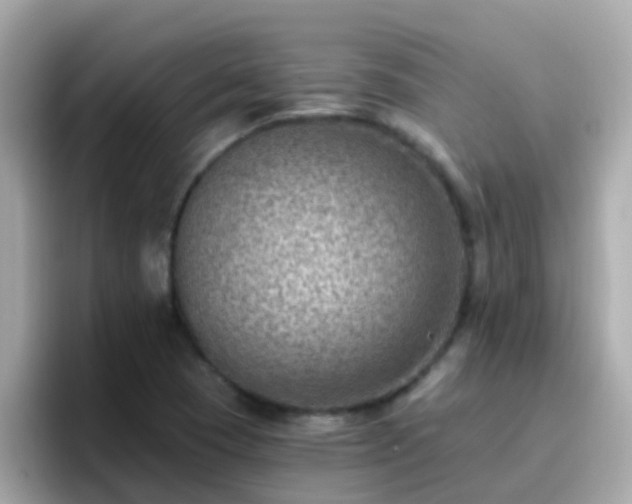 X0000096681409200802121202