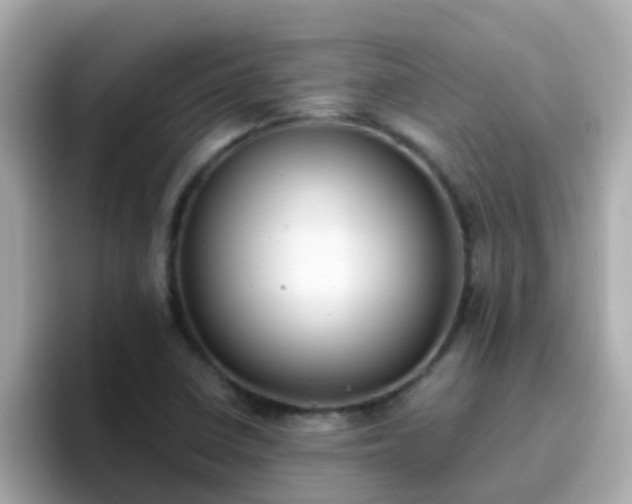 X0000096681410200802121202