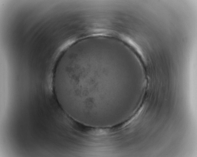 X0000096681411200802121202