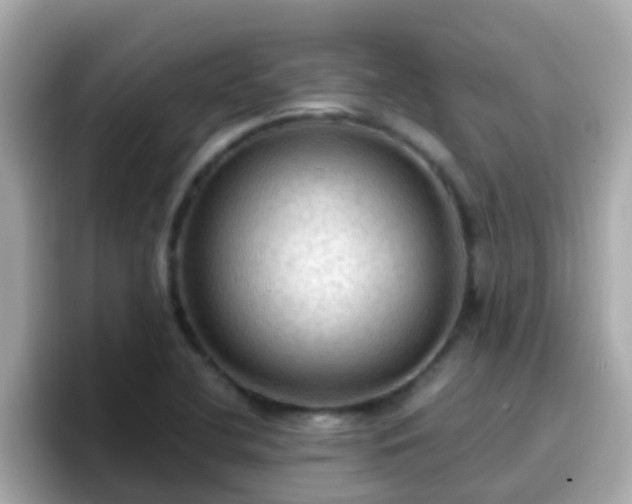 X0000096681412200802121202