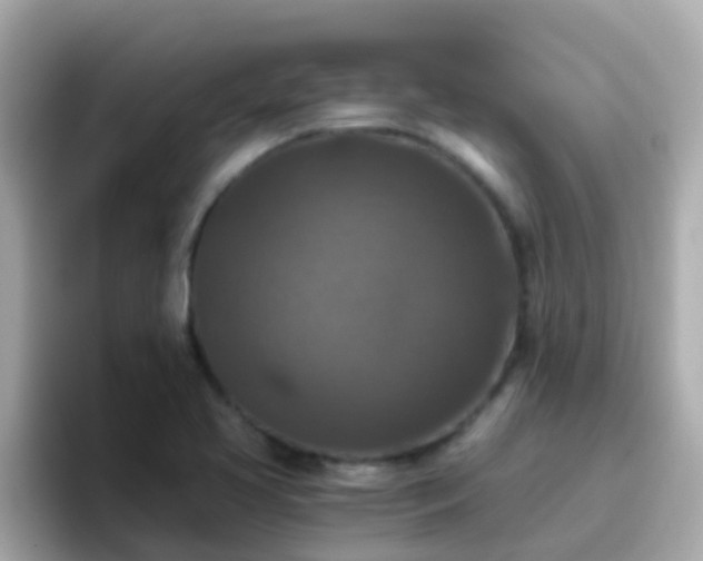 X0000096681413200802121202