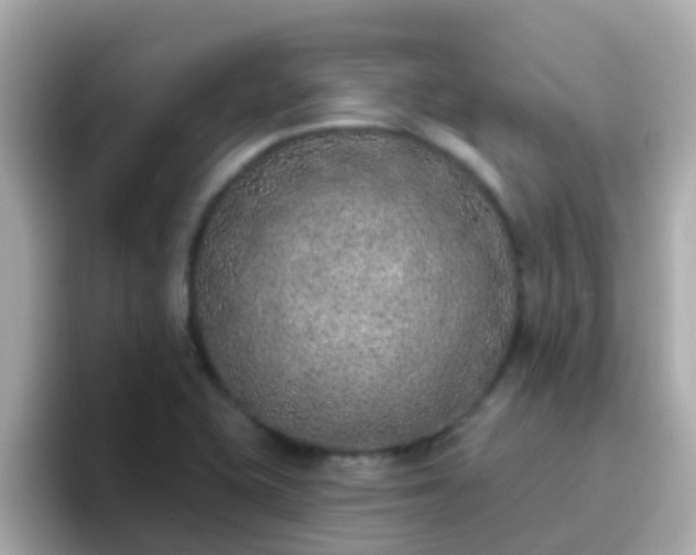 X0000096681415200802121202