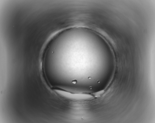 X0000096681416200802121202