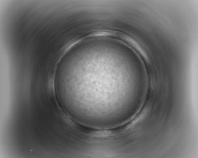 X0000096681417200802121202