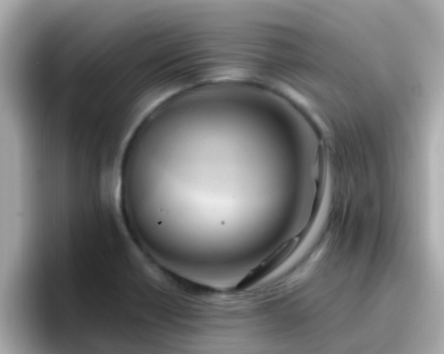 X0000096681418200802121202