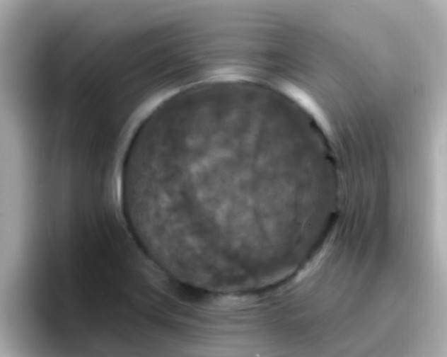 X0000096681419200802121202