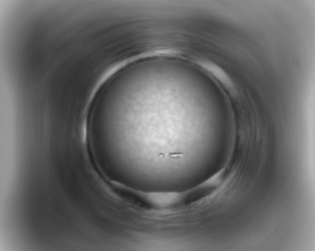 X0000096681420200802121202