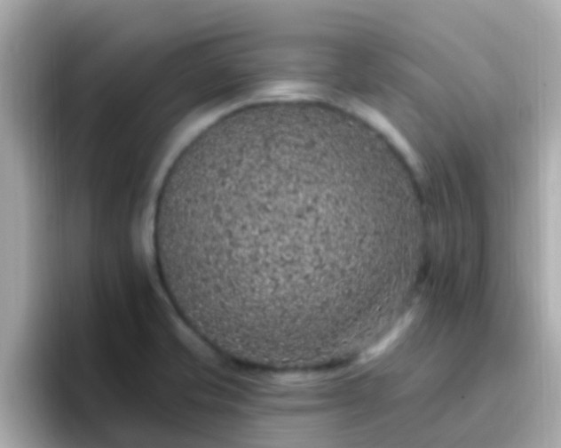 X0000096681421200802121202