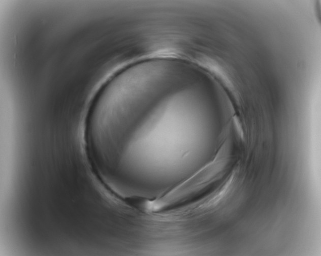 X0000096681422200802121202