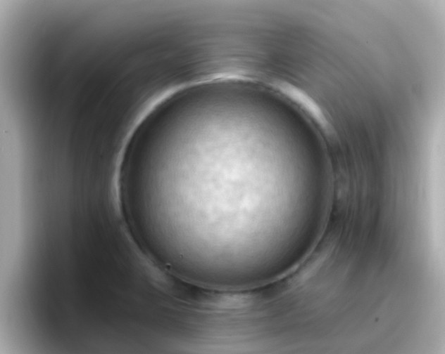 X0000096681423200802121202