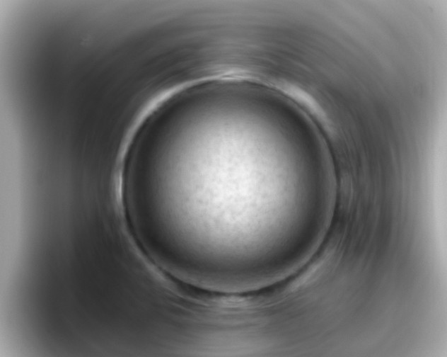 X0000096681424200802121202